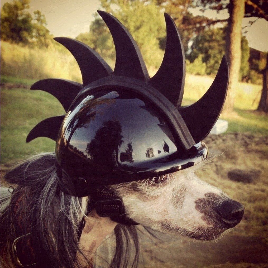 Spiked Mohawk Motorcycle Dog Helmet Rockstar Puppy Boutique