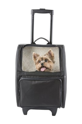 Dog Backpack Carrier ᶘ ͡°ᴥ͡°ᶅ Large Dog Backpack Carrier