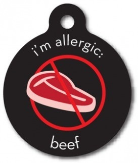 Beef Allergy Medical Alert Dog ID Tag Medical Alert Dog ID Tags Dog
