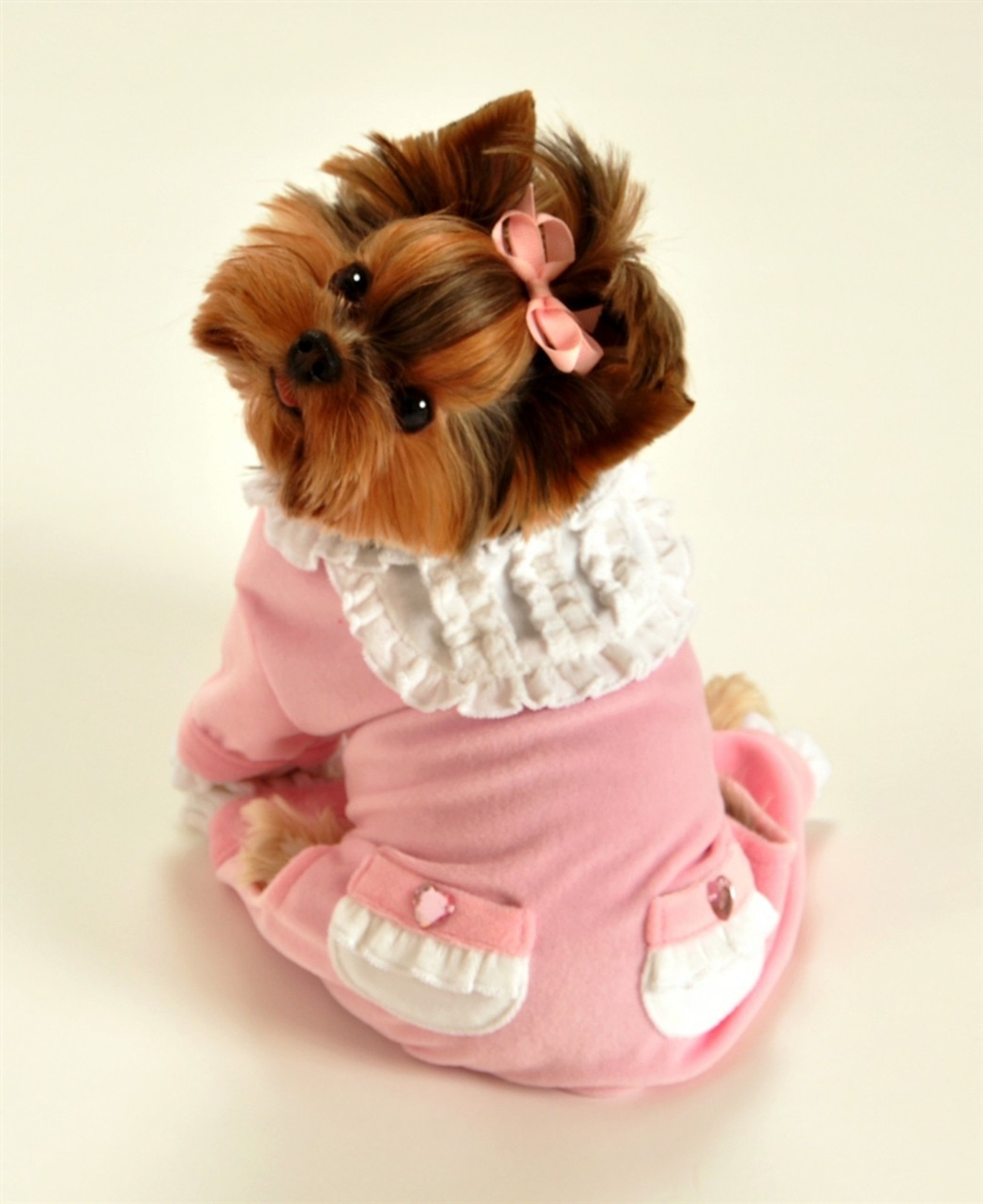 pink dog jumper