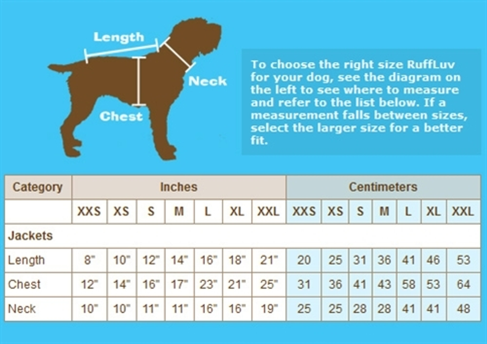 dog sweater sizes