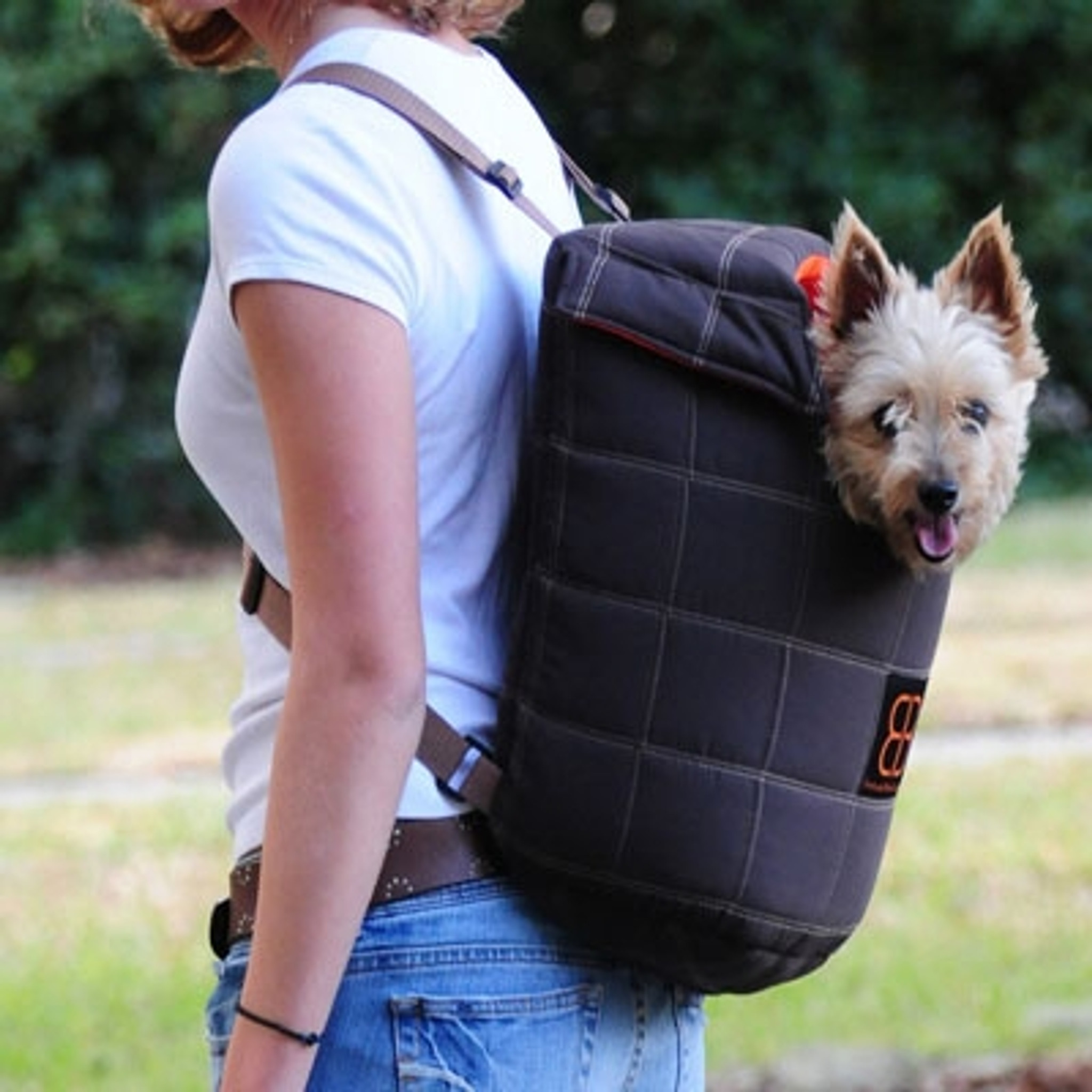 dog carrier front backpack