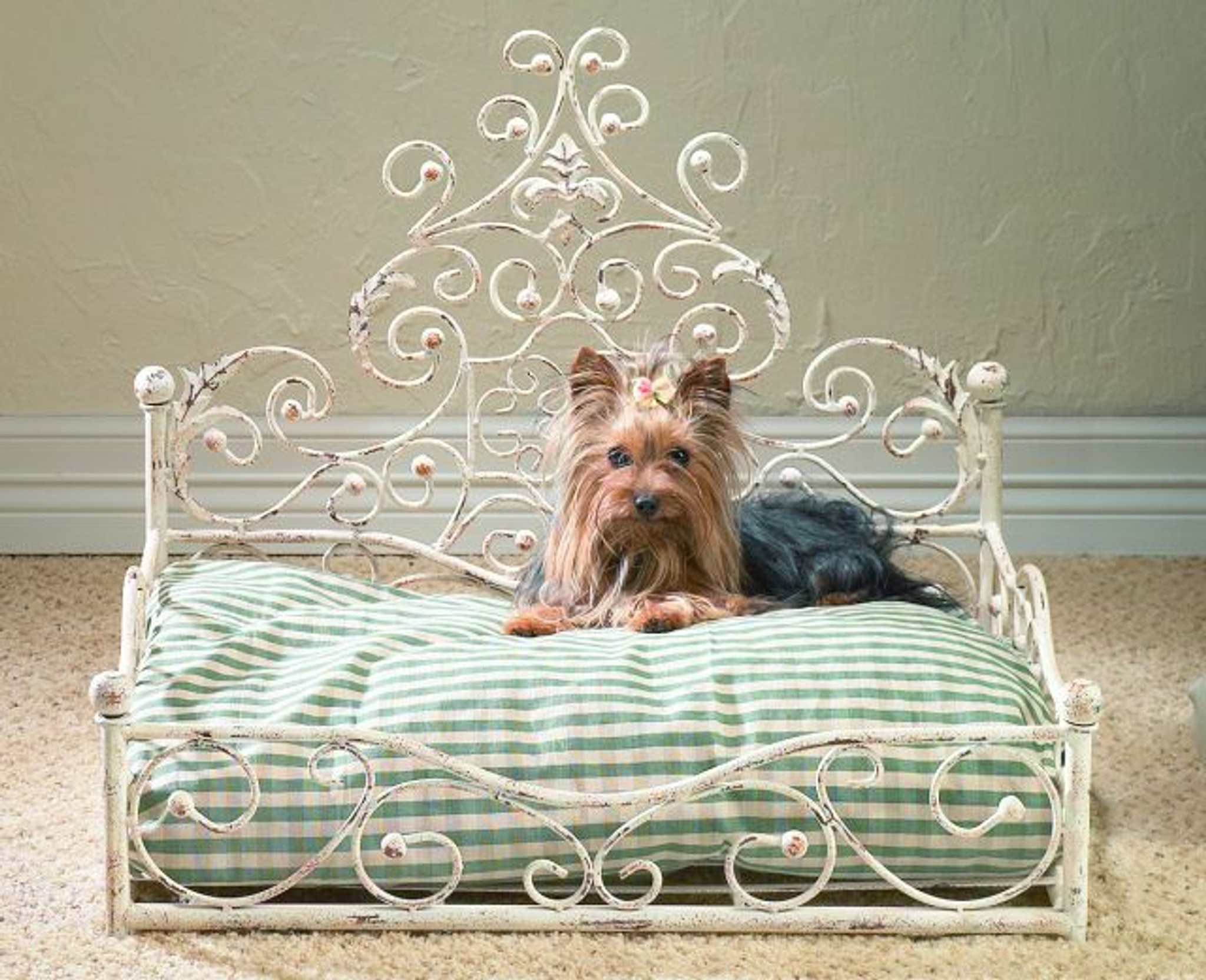 iron dog bed