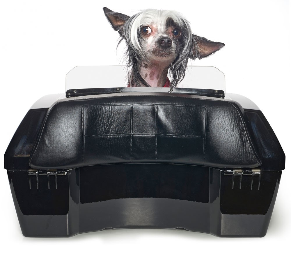 Large Motorcycle Dog Carrier Rockstar Puppy