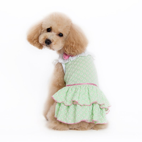 Dogo Gatsby Girl Dog Dress, Large