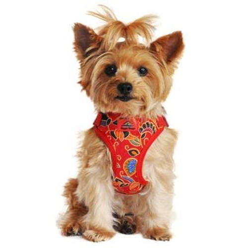 Luxury Red Dog Harness – Designer Dog Clothes – Veselka Canine Couture