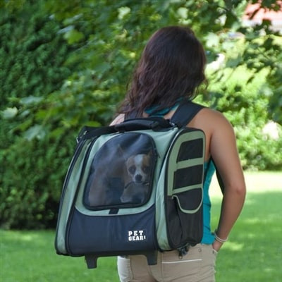 Dog Backpack Carrier ʕ •ᴥ• ʔ Backpack/Front Facing Dog Carrier