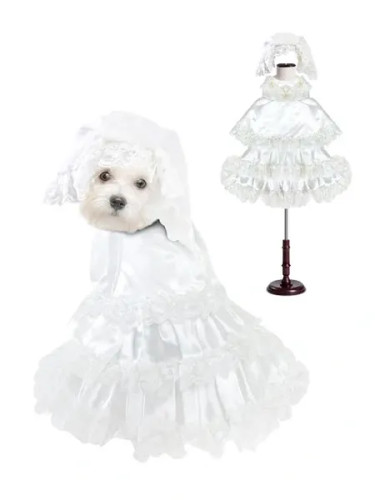 Dogo Gatsby Girl Dog Dress, Large