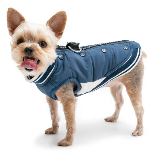 Dog Coat - Varsity Runner Coat