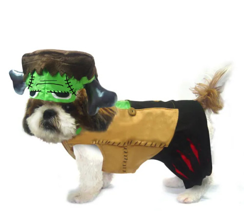 Dog Halloween Costume - Barkenstein