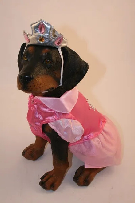 Dog Halloween Costume - Satin Princess with Crown
