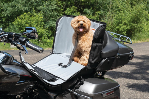 motorcycle dog box