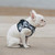 a little dog wearing Mesh Dog Harness - Gray Camo Camouflage