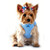 Little dog wearing Mesh Dog Harness - Solid Light Blue