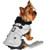 Little dog wearing Dog Harness Coat - Herringbone in Grey