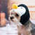 Dog Hat - Penguin