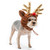 Dog Hat - Rudolph