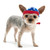 Dog Visor Hat - Star 