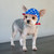 Dog Visor Hat - Star 