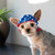 Dog Visor Hat - Star 