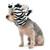 Dog Hat - Zebra 