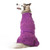 Dog Sweater - Purple Multiway