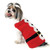 Dog Sweater - Santa