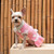 Dog Sweater Dress - Daisy