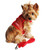 Mesh Dog Harness - Cool Solid Red