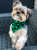 Dog Bandana - Shamrock St Patrick's