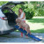 Dog Ramp - Travel-Lite Full Ramp 66" 