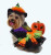 Dog Halloween Costume - Halloween Witch