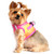 Choke Free Ombre Mesh Dog Harness - Raspberry Pink Orange