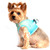 Choke Free Ombre Mesh Dog Harness - Aruba Blue