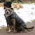 black puffer dog coat