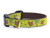 Nuts Dog Collar