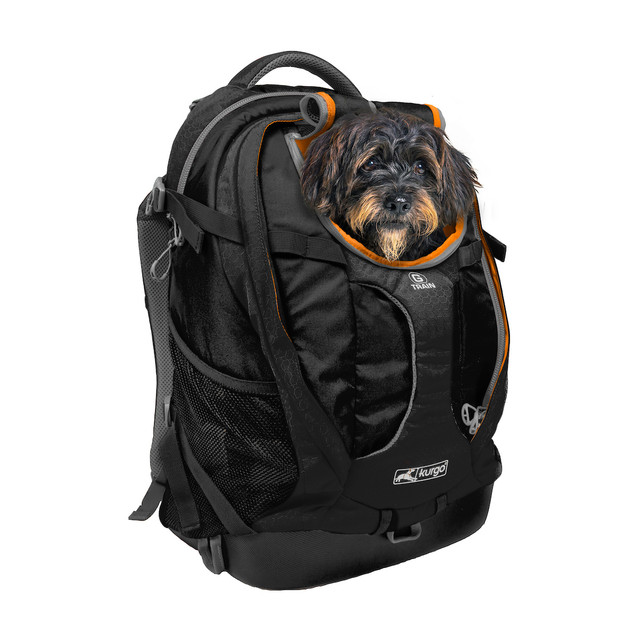Large Motorcycle Dog Carrier Rockstar Puppy