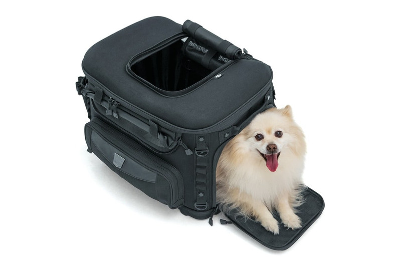 https://cdn11.bigcommerce.com/s-zy7iaurt44/images/stencil/800x800/products/1101/4075/Dog_in_Motorcycle_Dog_Carrier_-_Pet_Palace__67703.1627723768.jpg?c=2