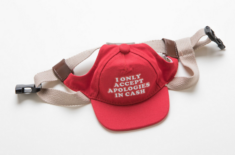 Red Dog Hat - I only Accept Apologies in Cash