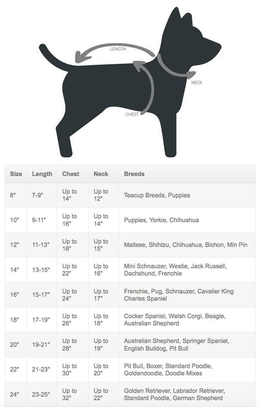 Cool Dog Jacket Rock n Roll Dog Jacket Rockstar Puppy