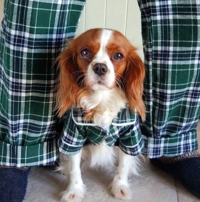 Cool Dog Clothes Matching Set of Human and Dog Pajamas