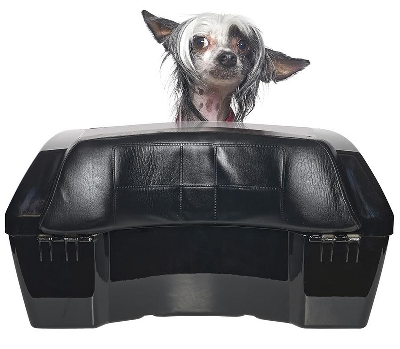 Online Pet Boutique Announces New Pet Carriers Designed To Fit