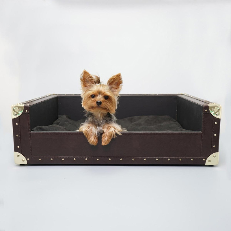 Should You Let Your Dog Sleep with You? Should You Let Your Dog Sleep with You?