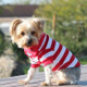 Little dog wearing striped dog polo shirt - Flame Scarlet Red and White