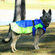 Dog wearing Dog Coat - Alpine All-Weather - Blue and Green