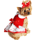 Little Dog Wearing Holiday Dog Dress - Candy Canes