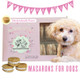 Macarons For Dogs - Snickerdoodle Flavor