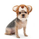 Dog Hat - Teddy Bear