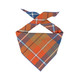 Dog Bandana - Orange Blue Plaid Luxe Flannel