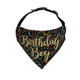 Dog Bandana - Birthday Boy - Black Streamers